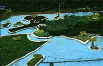 Botanical Garden